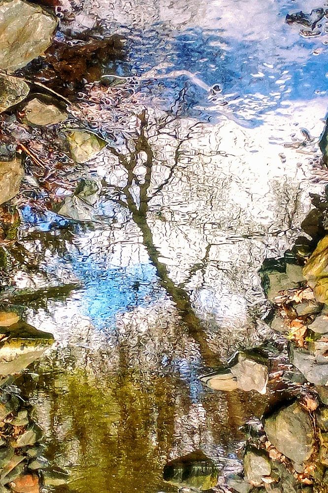 Photograph by Елена Никитина