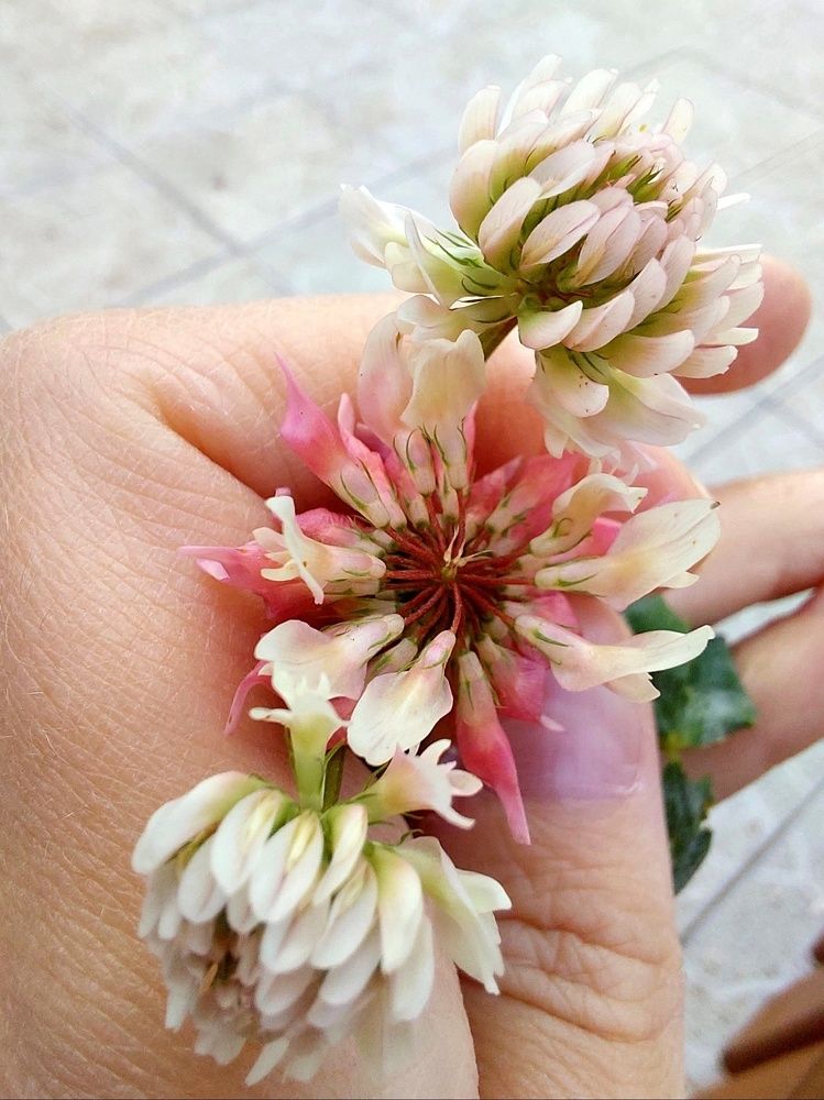 Photograph by Виктория Воронкова