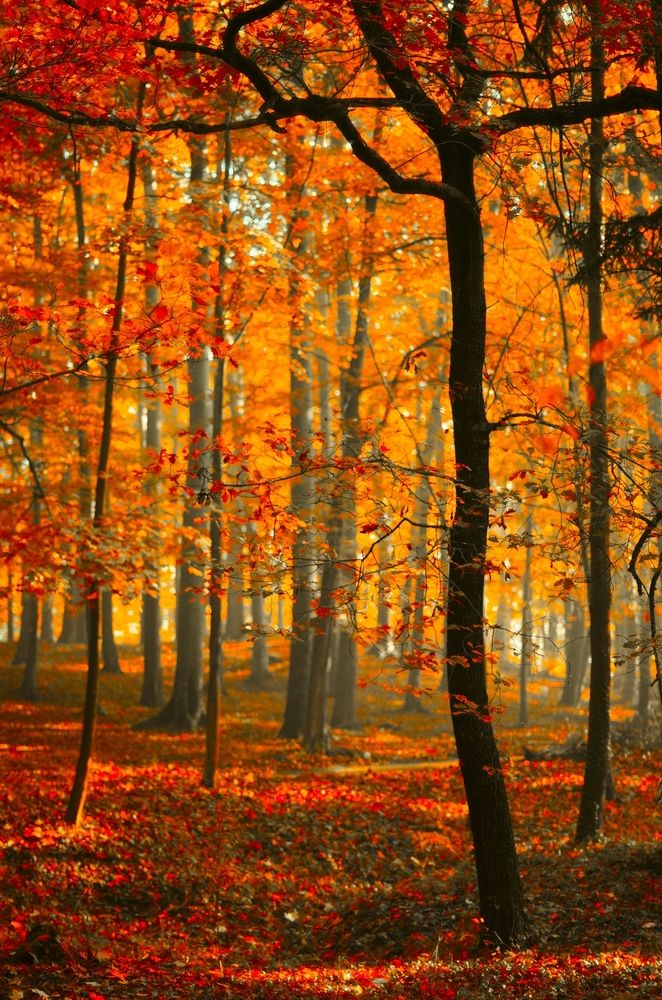 Photograph by Wydmuch Maciej