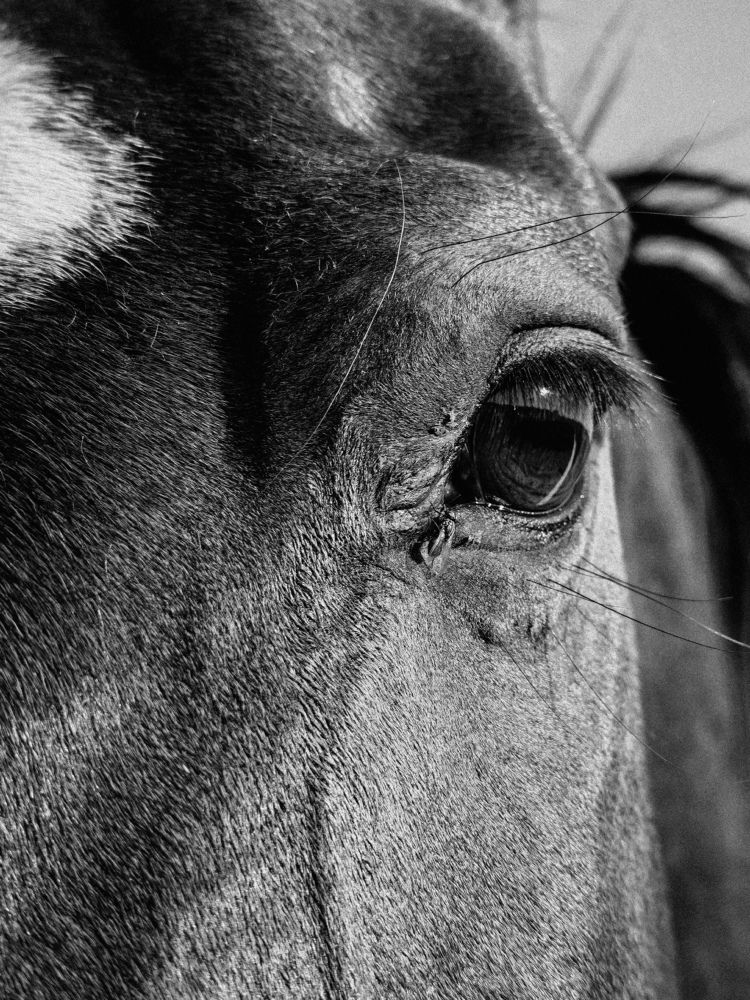 Photograph by Maria Stankevich