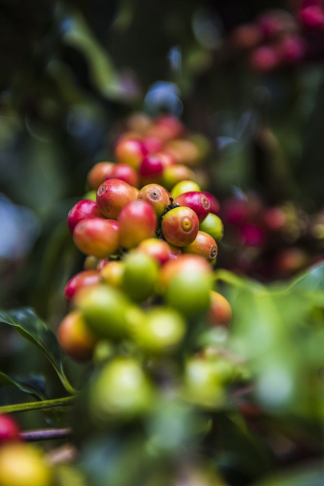 Photograph by Jorge Ivan Vasquez