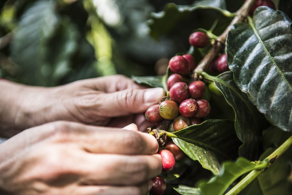 Photograph by Jorge Ivan Vasquez