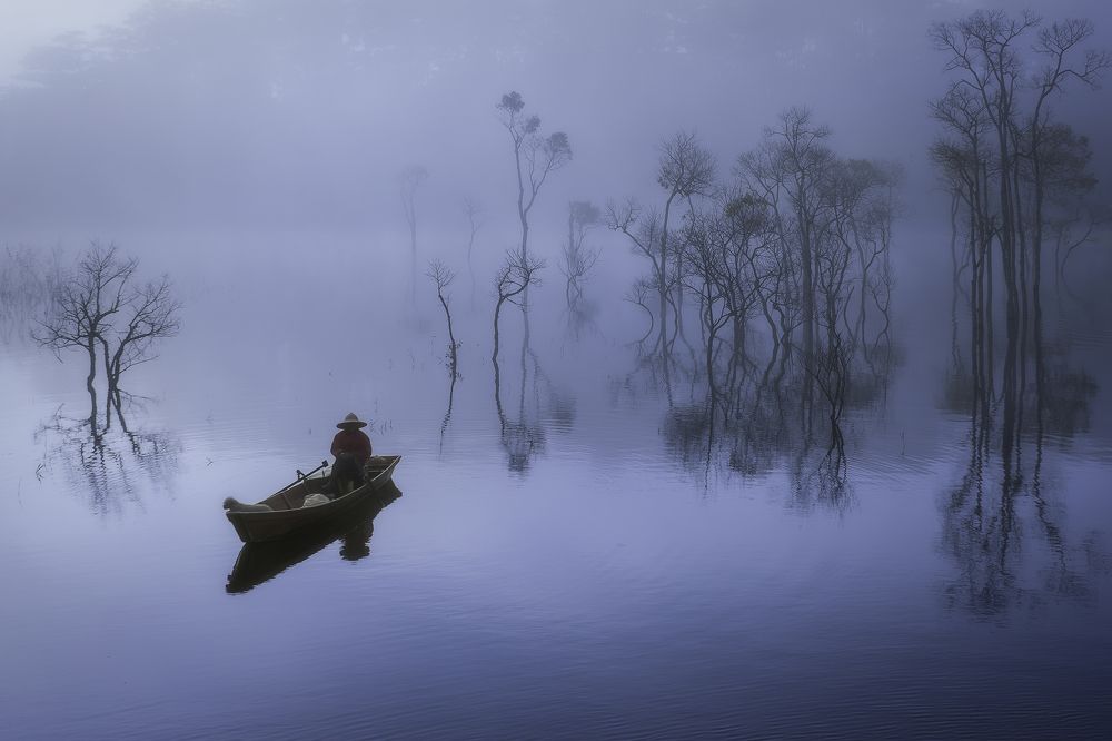 Фотография автора Trieu Nguyen