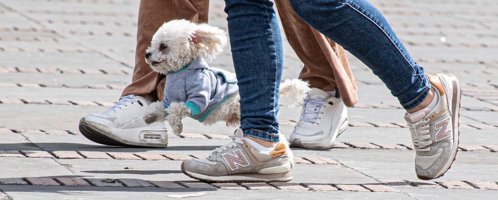 Фотография автора Lina María González Triana