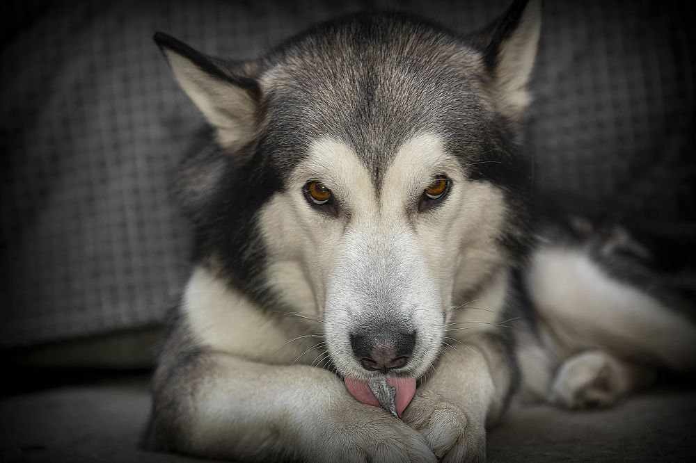 Photograph by Лев Постнов