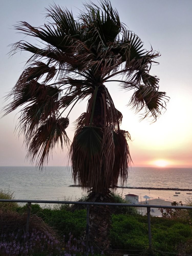 Фотография автора Oksana Podgorodetska