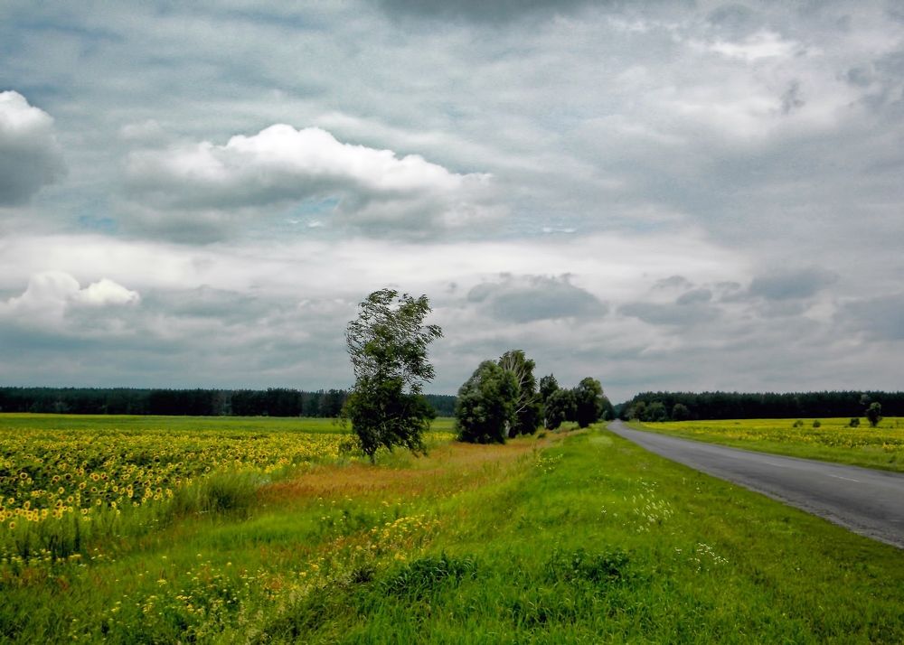 Фотография автора Роман Савоцкий