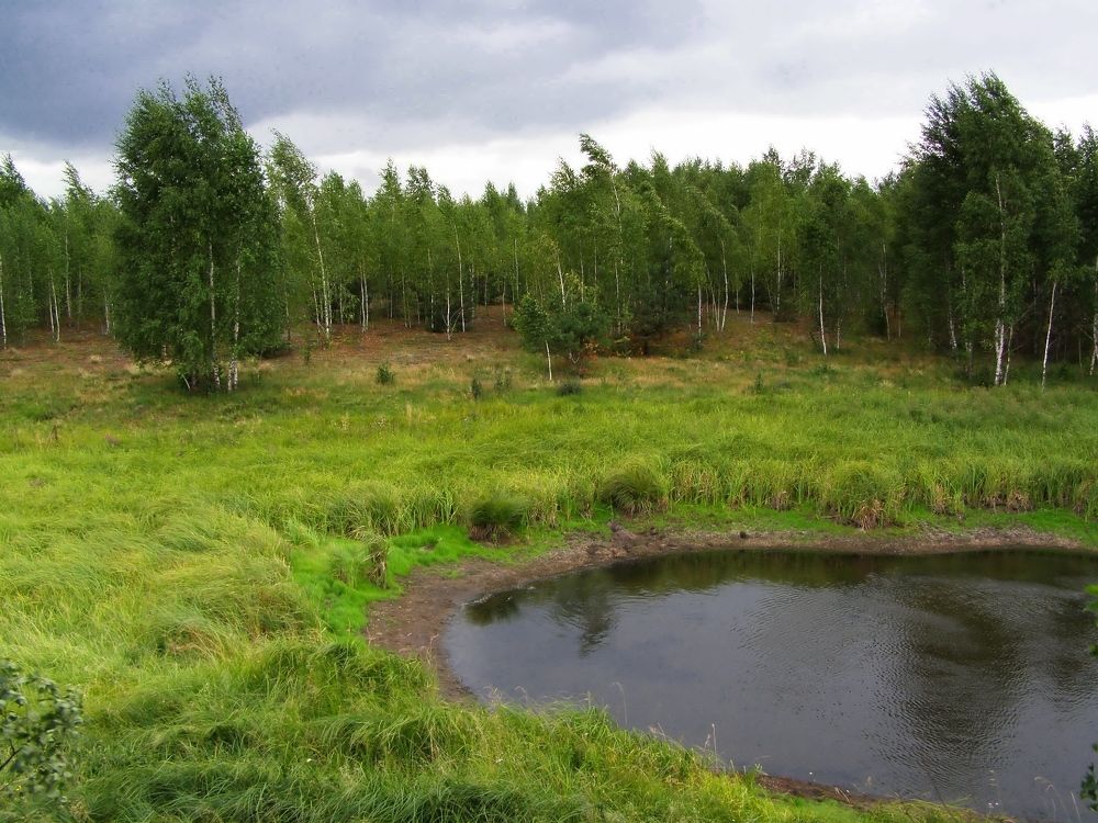 Фотография автора Роман Савоцкий