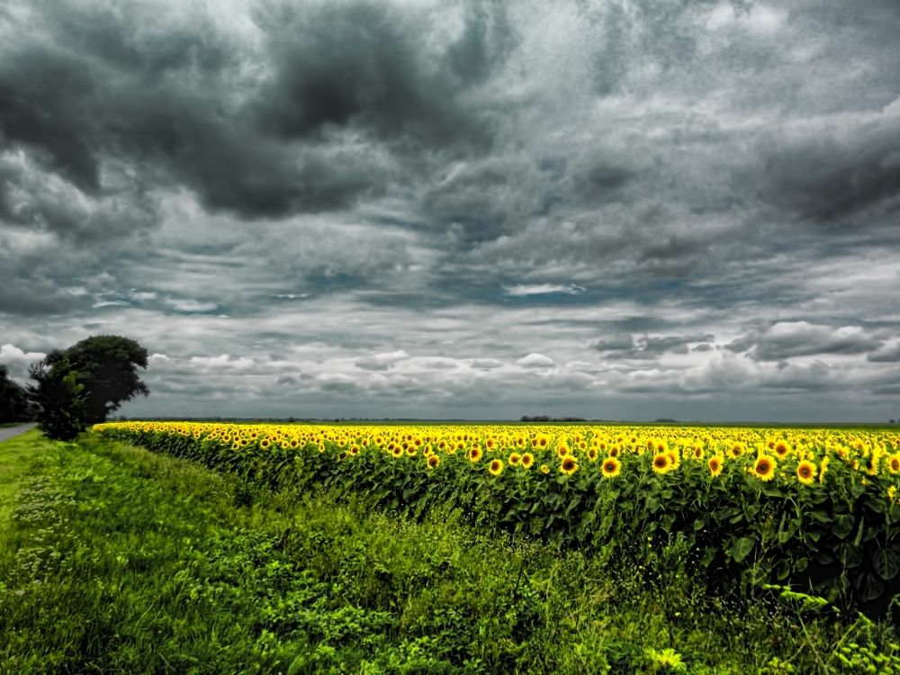 Photograph by Савоцкий Роман