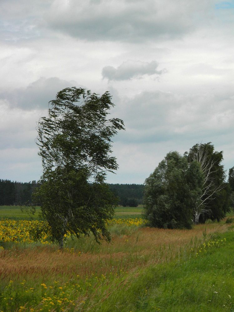 Photograph by Савоцкий Роман