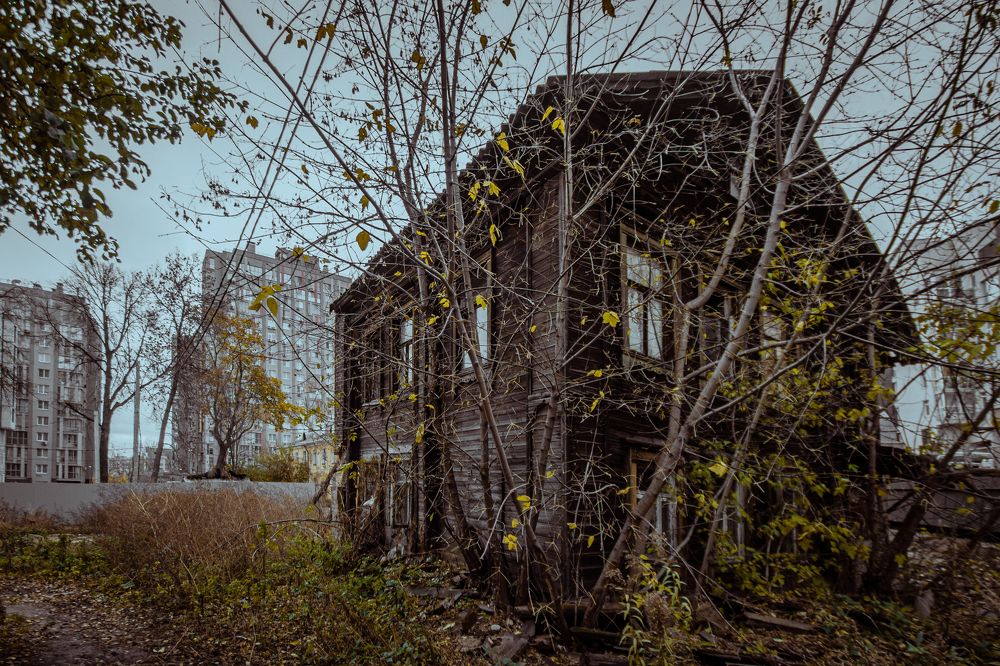 Photograph by Дарья Улюсова