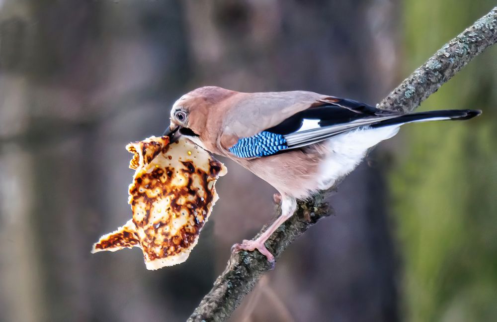 Photograph by Волынский Виктор