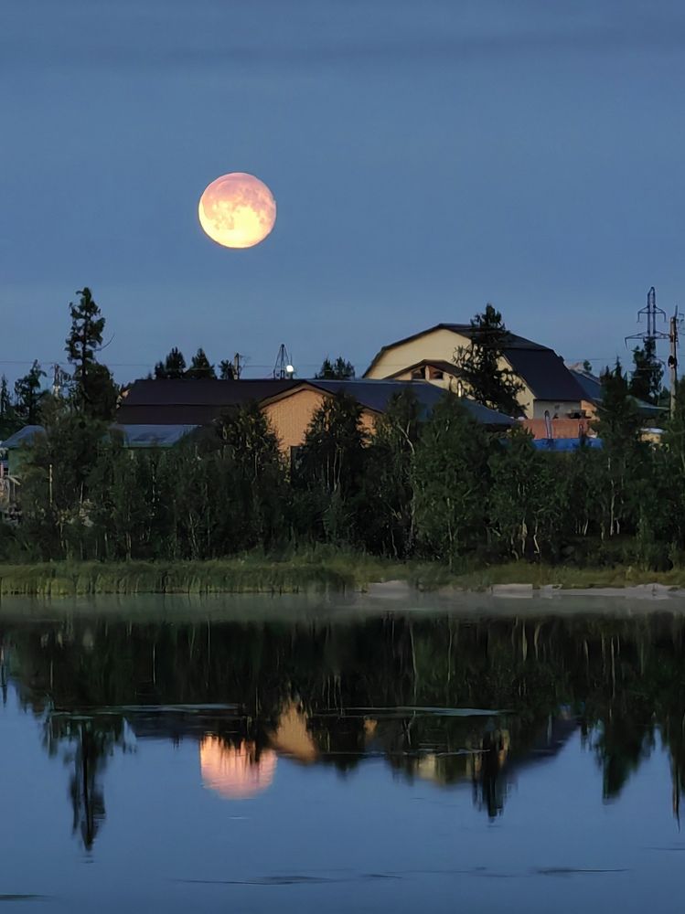 Photograph by Юлия Арестова