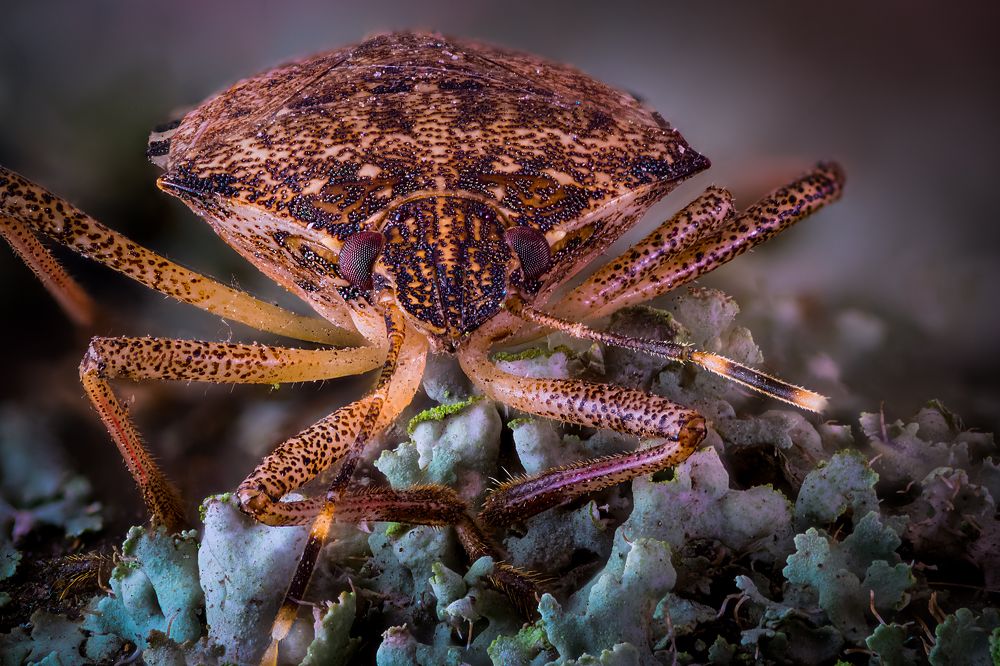 Photograph by Юрий Яковлевич