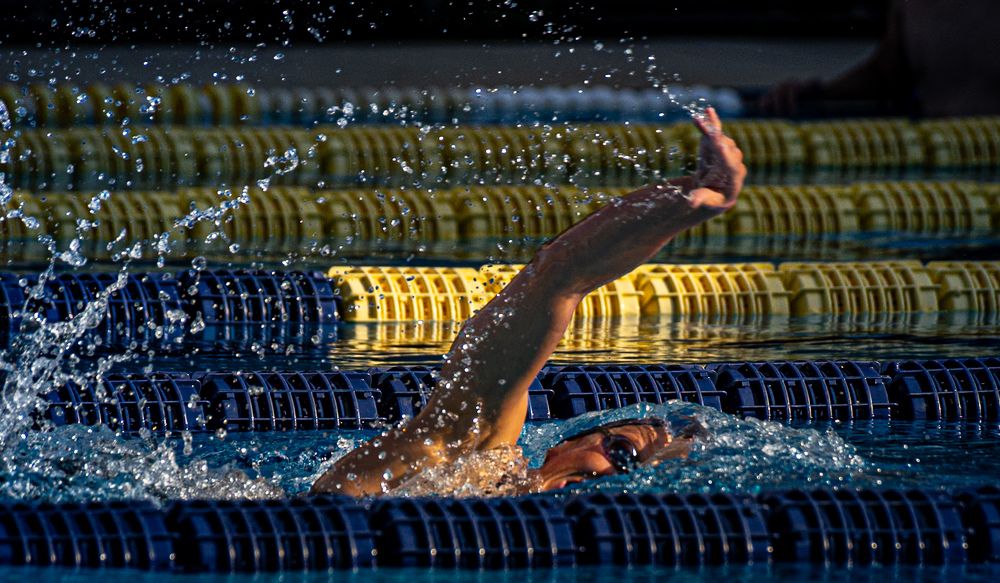 Photograph by Ascanio Fernández Pinto Urbina