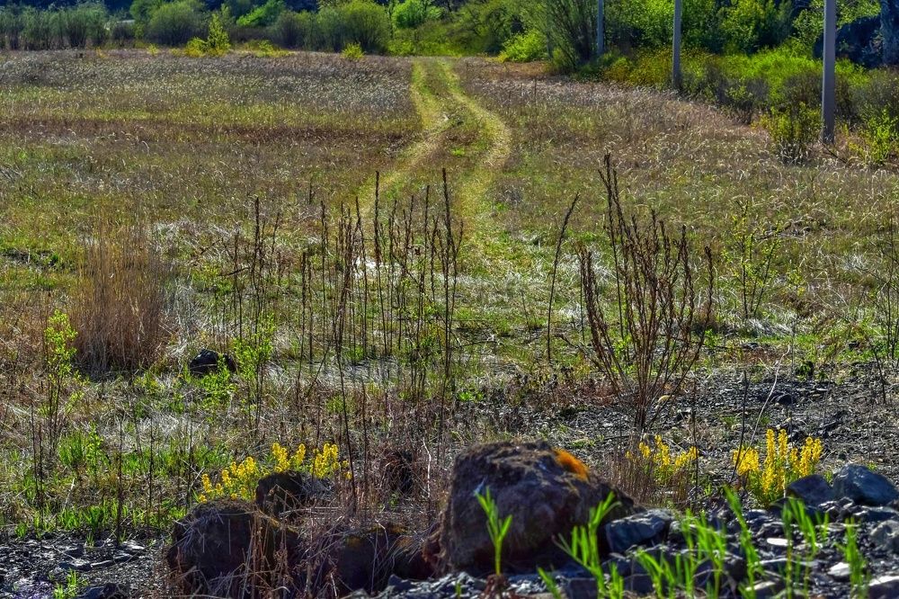 Photograph by Irina Luidinshina