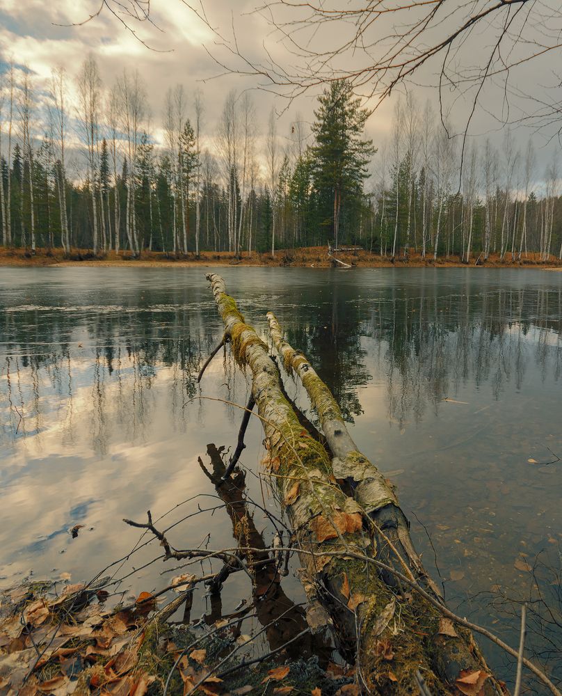 Photograph by Sergey Lebedev