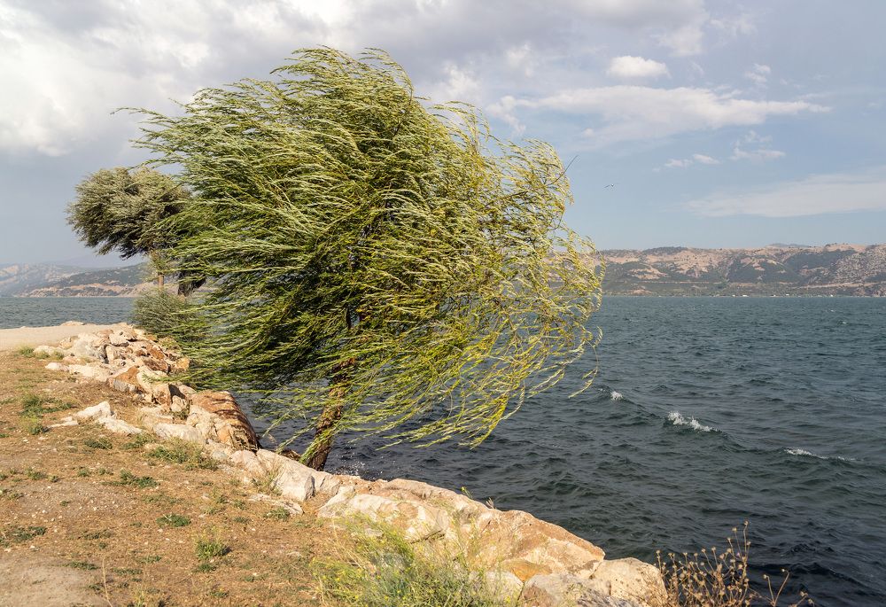 Photograph by Виктор Петров