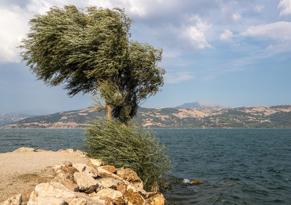 Photograph by Виктор Петров