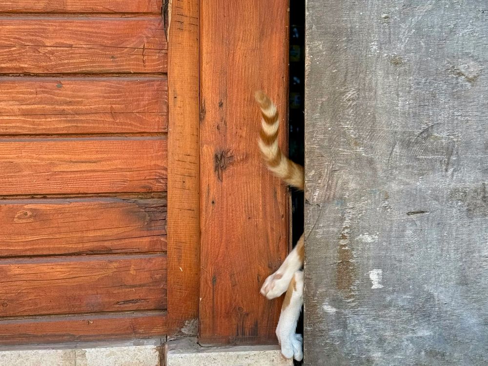 Фотография автора ГУЗАЛИЯ ГАНИЕВА