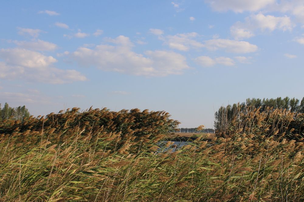 Photograph by Елена Коробченко