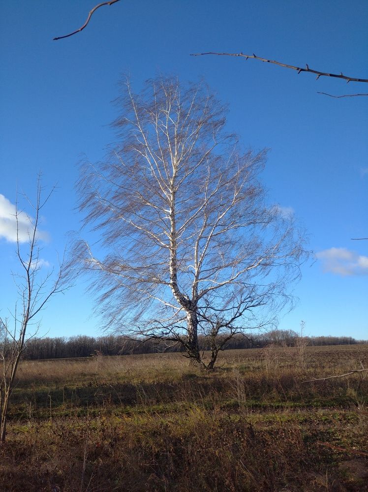 Photograph by Елена Коробченко