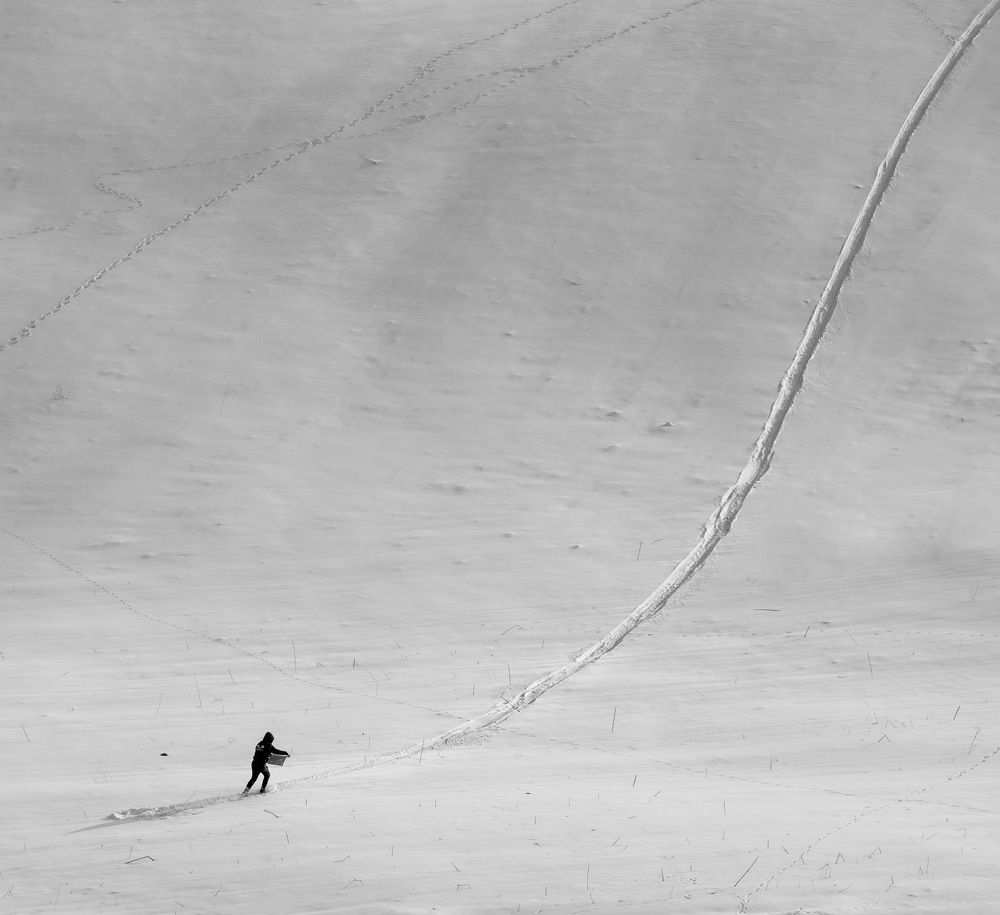 Photograph by mohammad Alipour