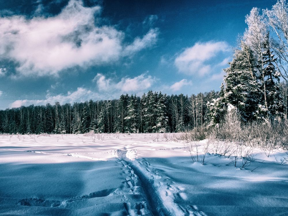 Photograph by Борис Челышев