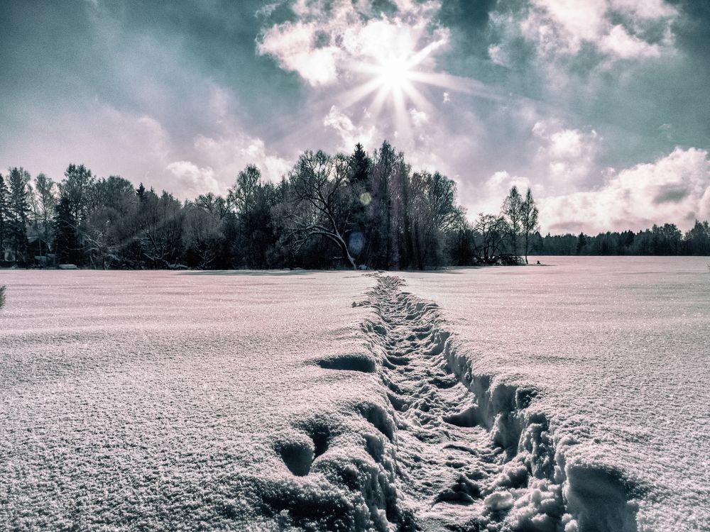 Photograph by Борис Челышев