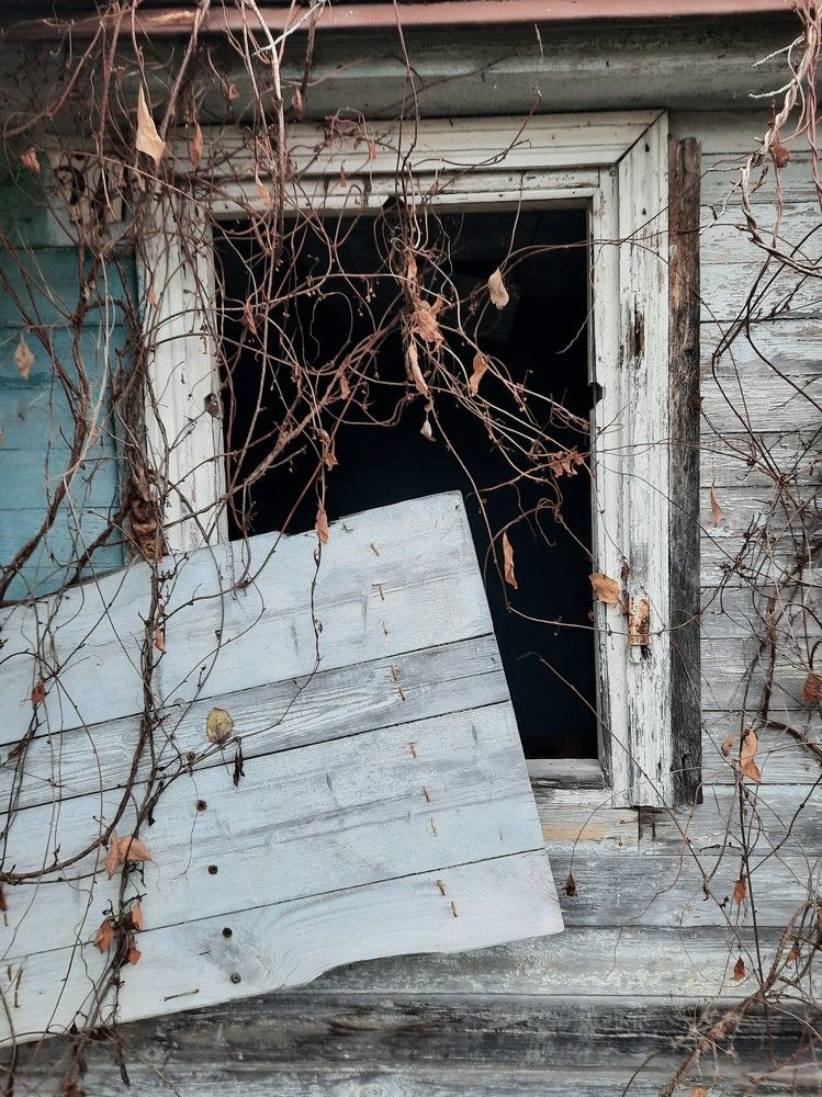 Фотография автора Елена Пикатова