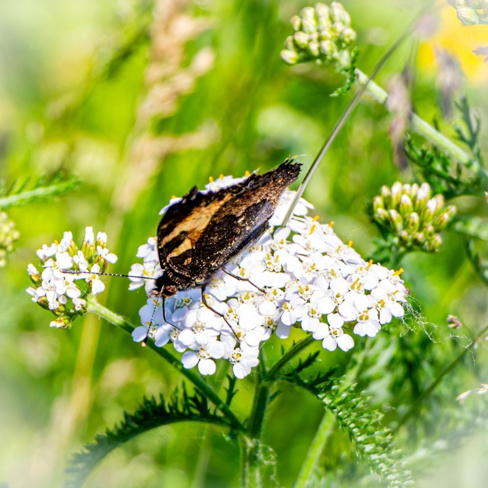 Photograph by Владимир Сушкин