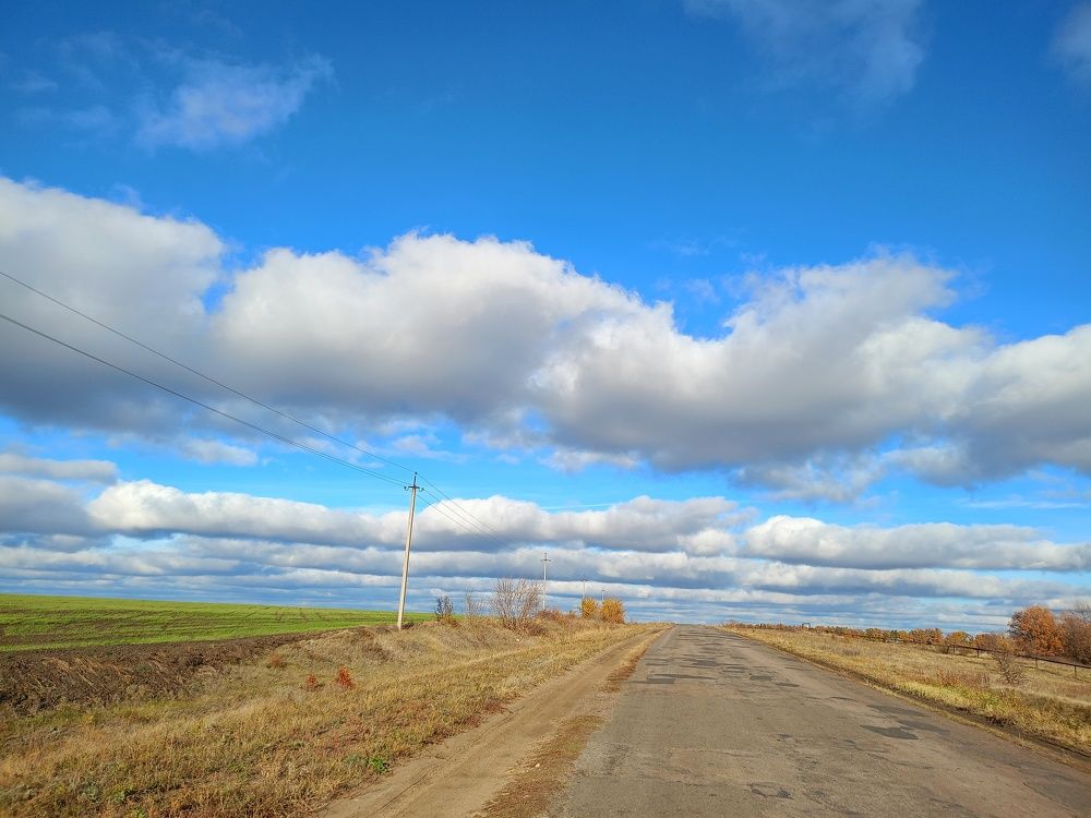 Photo #11274597