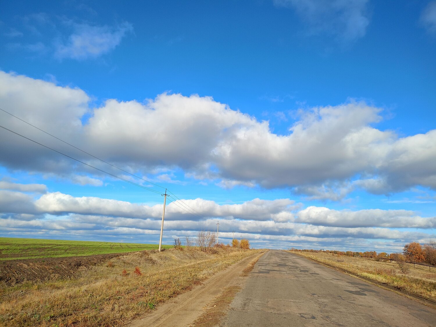 Photo #11274597