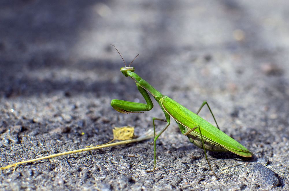 Фотография автора Андрей Гордиенко