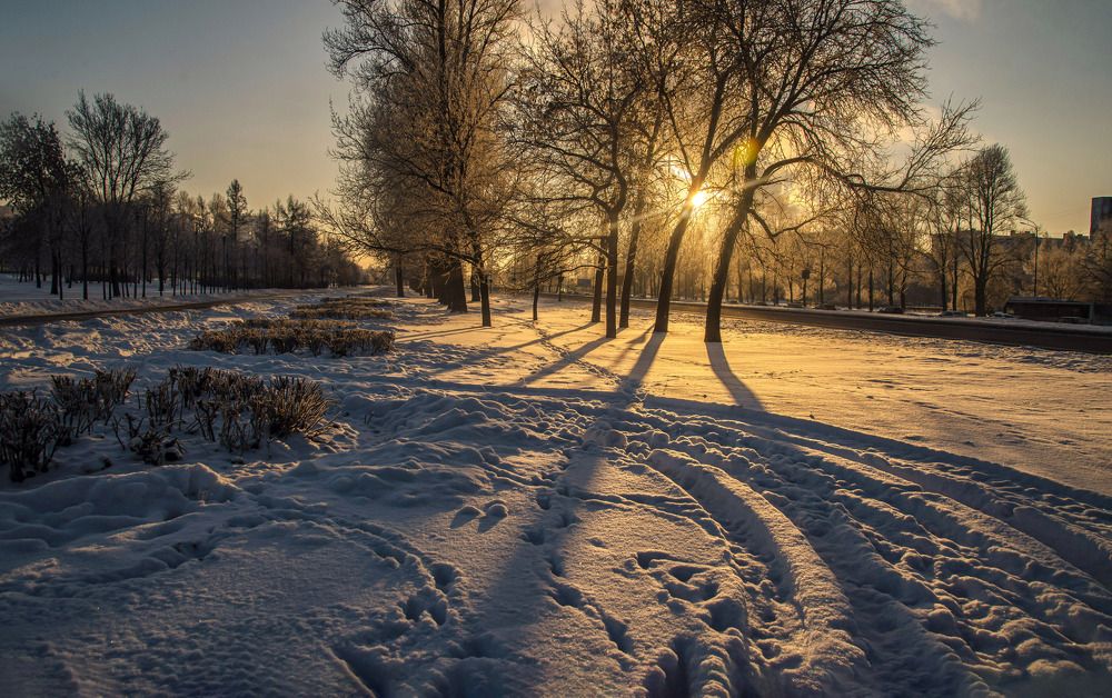 Фотография автора Ольга Егунова