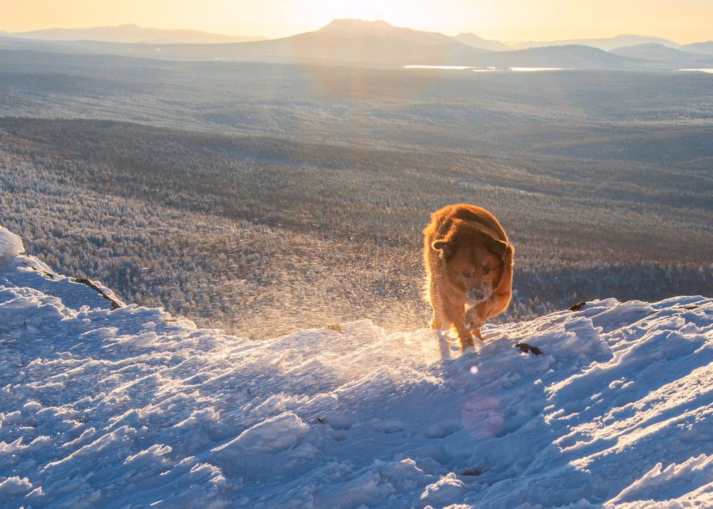 Photograph by Анастасия Глазюк