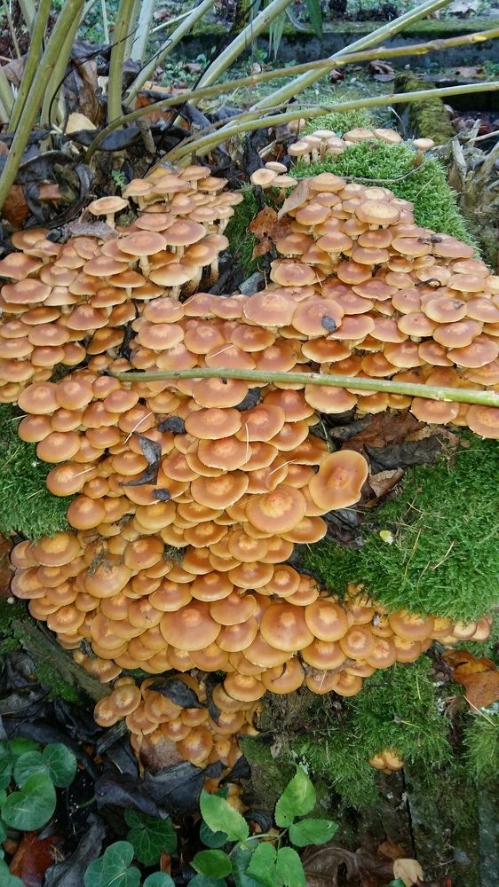 Photograph by Rein Mändaru