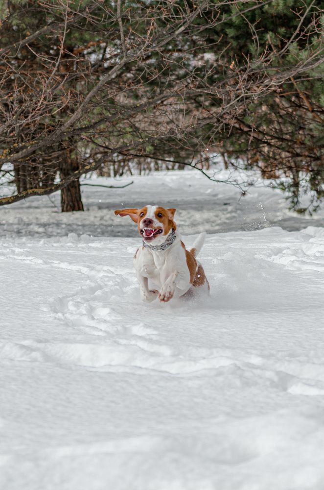 Photograph by Елизавета Лопатина