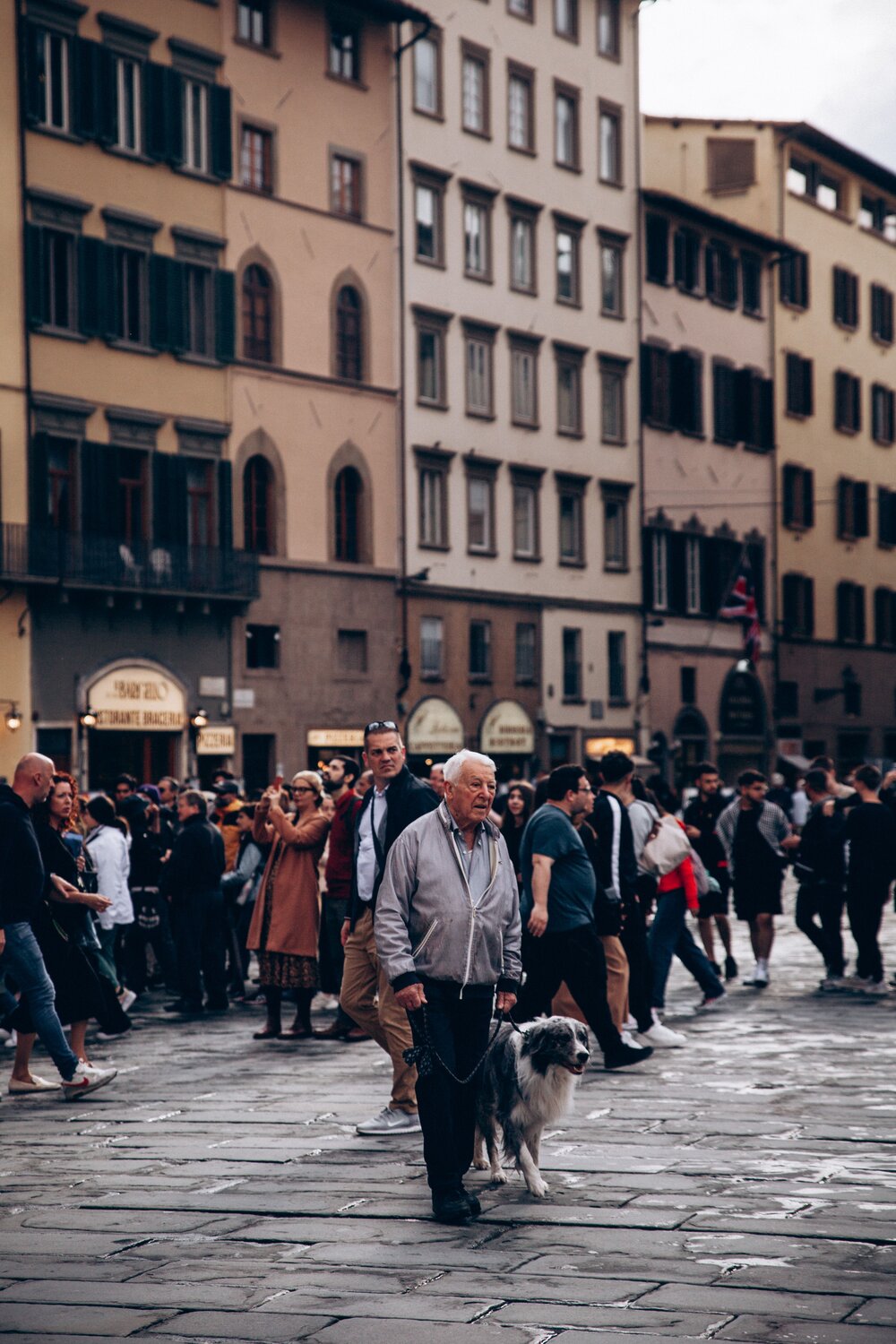 Photo #11274671