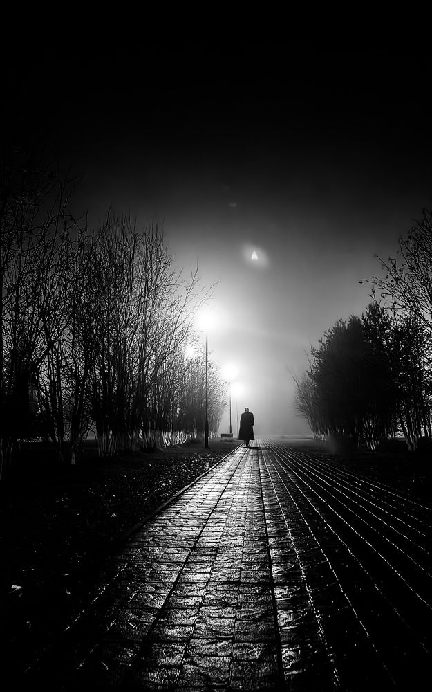 Фотография автора Pavel Ant