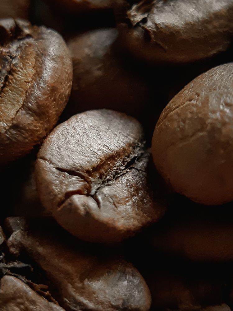 Photograph by Анна Чичилова