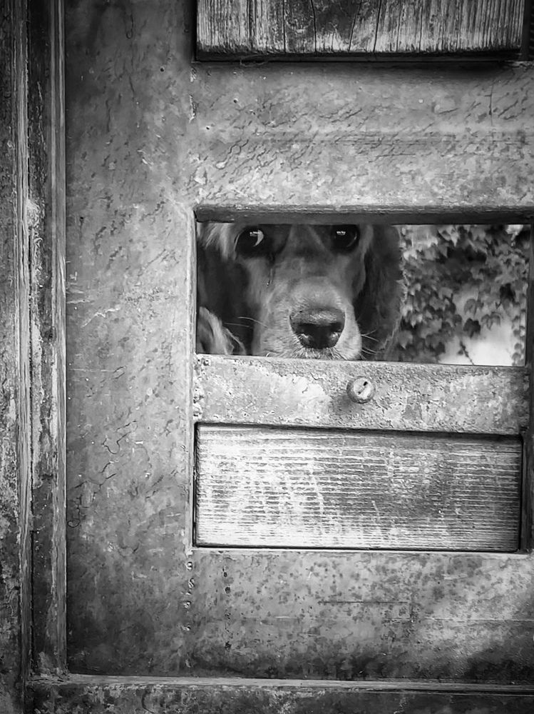 Фотография автора Tatiana Gongharova