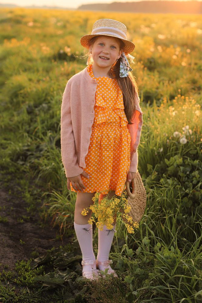 Закатное солнце в рапсовом поле