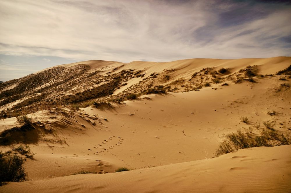 Photograph by Iva Ajva