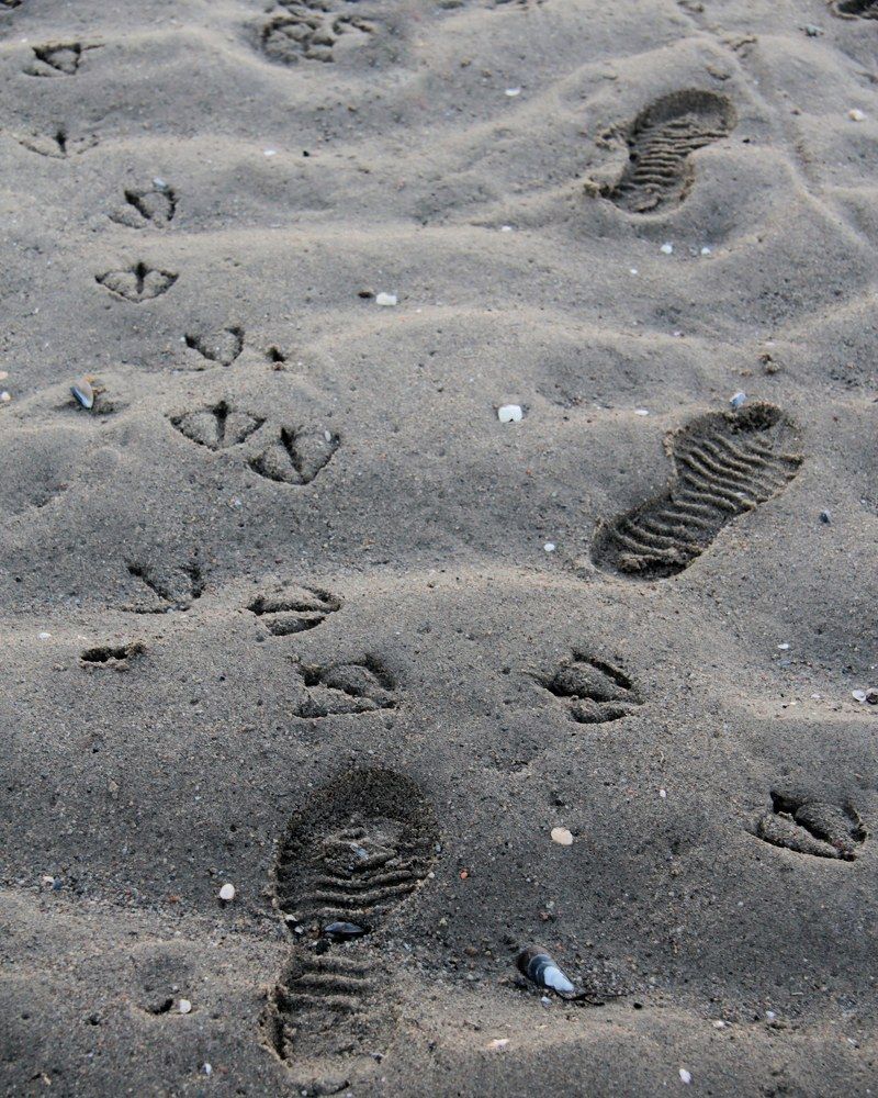 Их пути разошлись