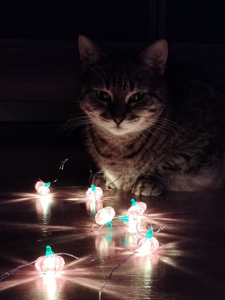 Photograph by Юлия Ю.