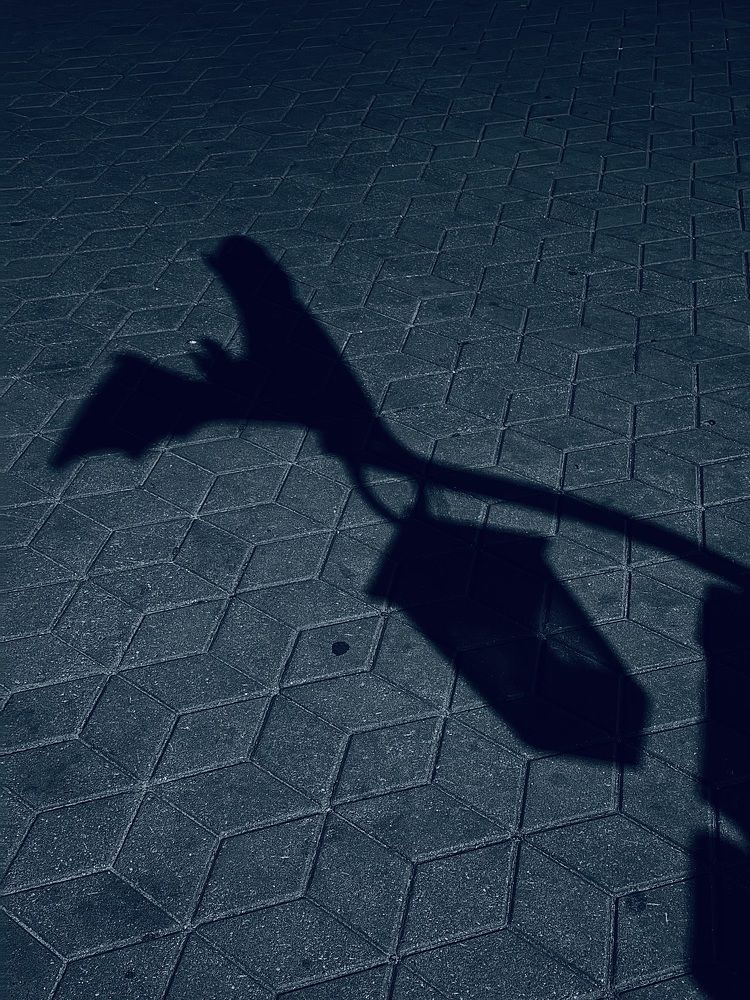 Photograph by Павел Арсенович