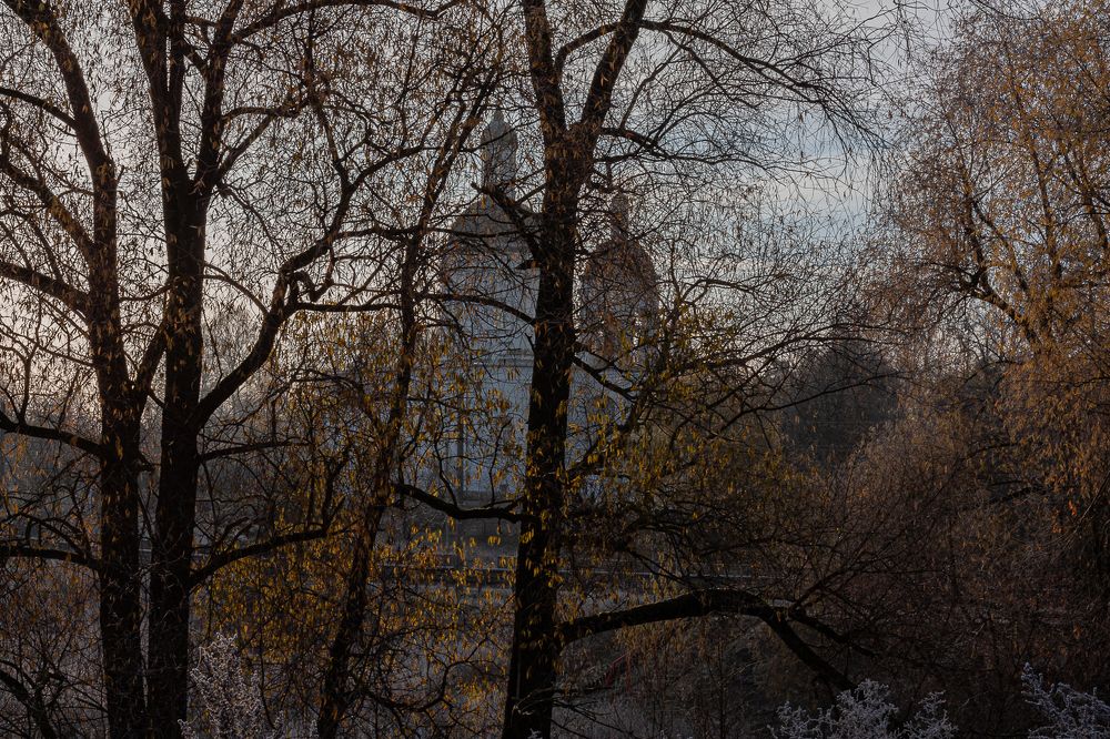 Photograph by Алла Логинова