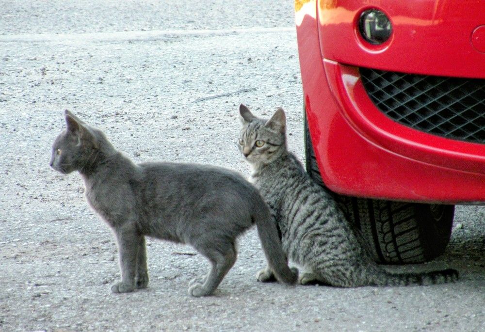 Photograph by Aleksandr Barsukov