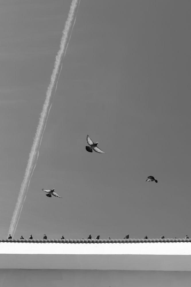 Photograph by Михаил Тюленев